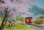 A Railway with sakura blossoms in Japan 日本賞櫻鐵道_painted by Lai Ying-Tse
